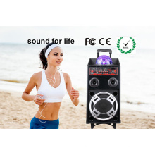 Alto-falante Karaoke Ativo Digital com USB / SD / FM